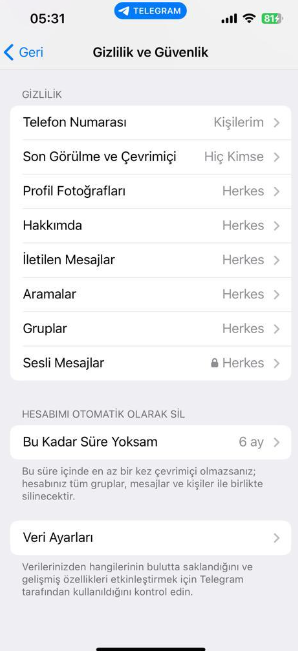 Telegram Hesabı Nasıl Silinir?