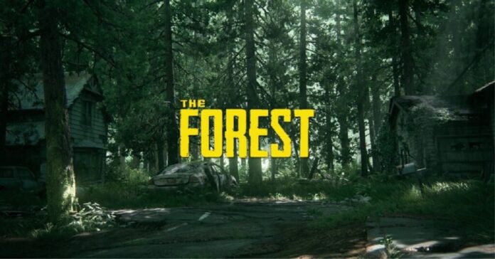 The Forest İp Yapımı